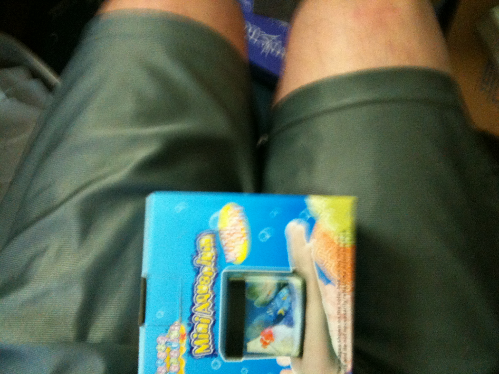 A thumbnail of a photo captured by a person who is blind.
        Click the thumbnail to view details about the photo.