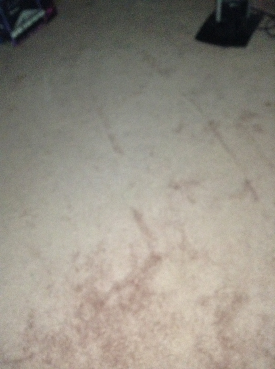 A thumbnail of a photo captured by a person who is blind.
        Click the thumbnail to view details about the photo.