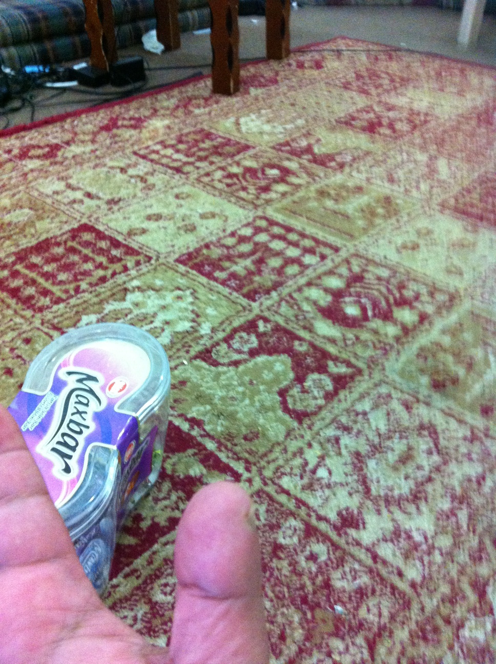 A thumbnail of a photo captured by a person who is blind.
        Click the thumbnail to view details about the photo.