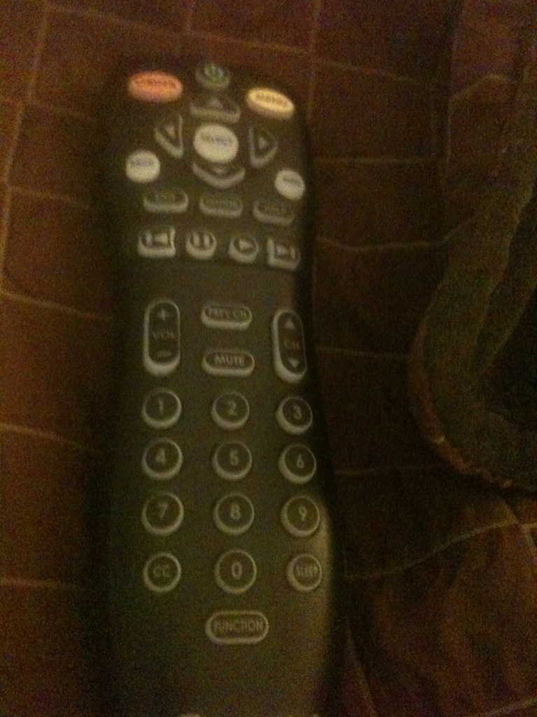 A photo captured by a person who is blind. A computer-generated caption for this photo is: A close up of a remote control controller.