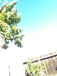 A photo captured by a person who is blind. A computer-generated caption for this photo is: A view of a building with a tree in the background.
