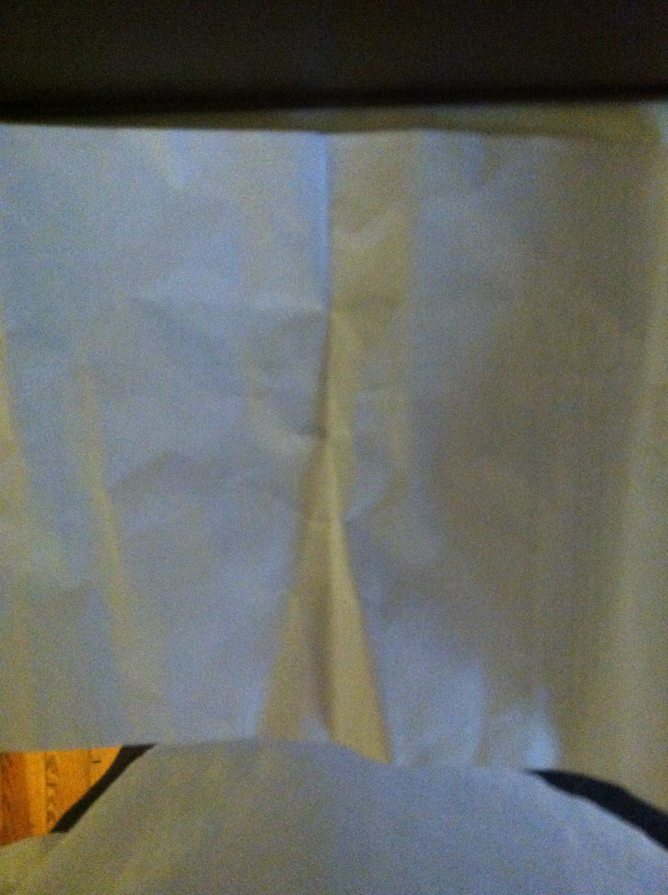 A thumbnail of a photo captured by a person who is blind.
        Click the thumbnail to view details about the photo.