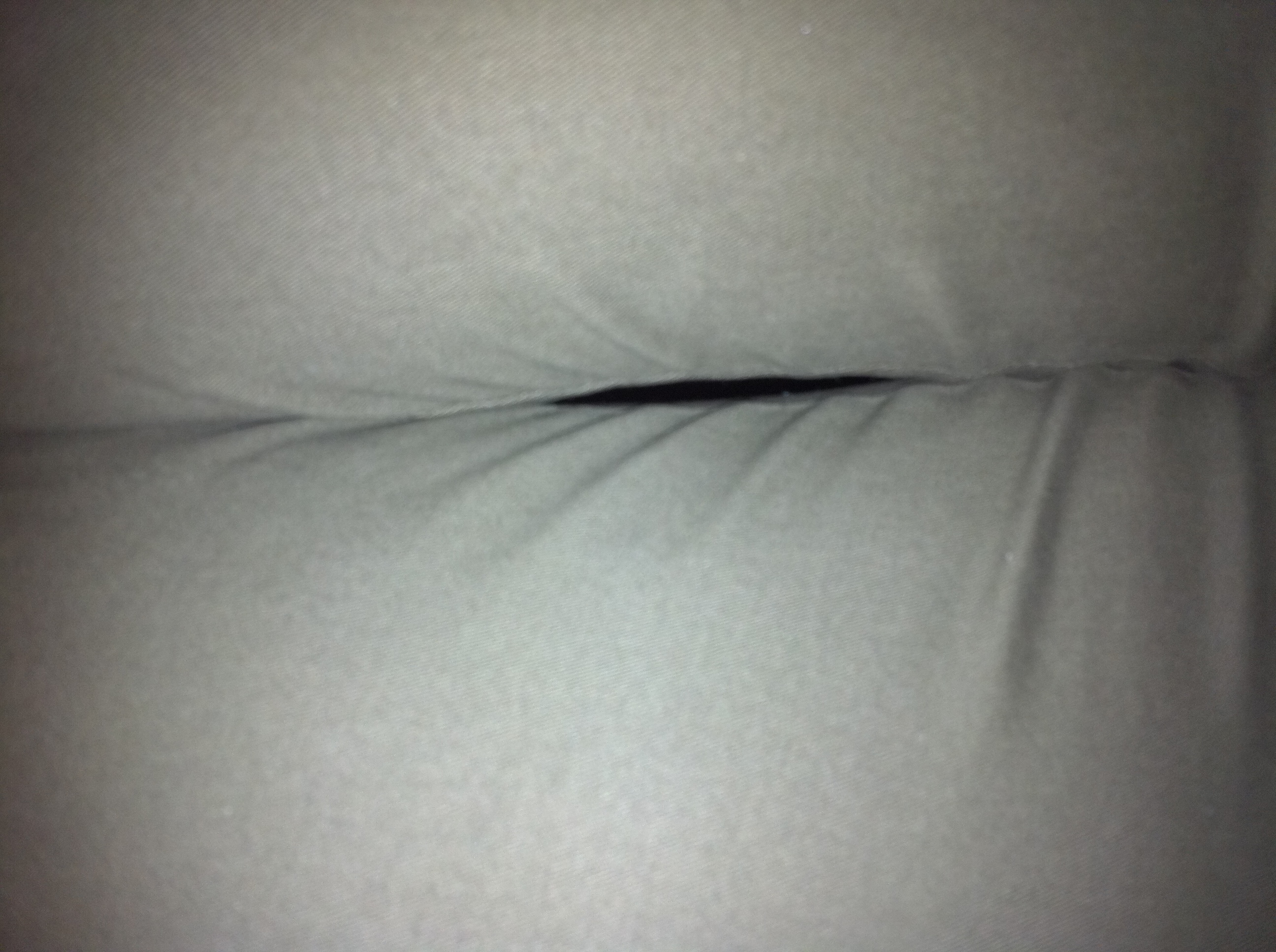 A thumbnail of a photo captured by a person who is blind.
        Click the thumbnail to view details about the photo.