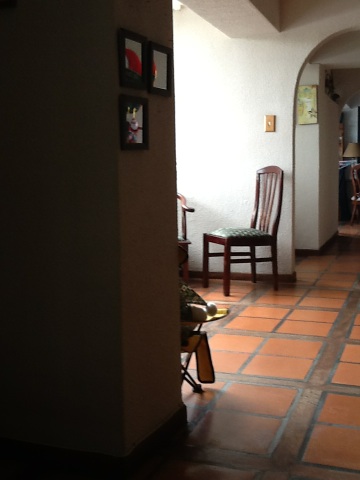 A photo captured by a person who is blind. A computer-generated caption for this photo is: A living room with a chair and chairs.