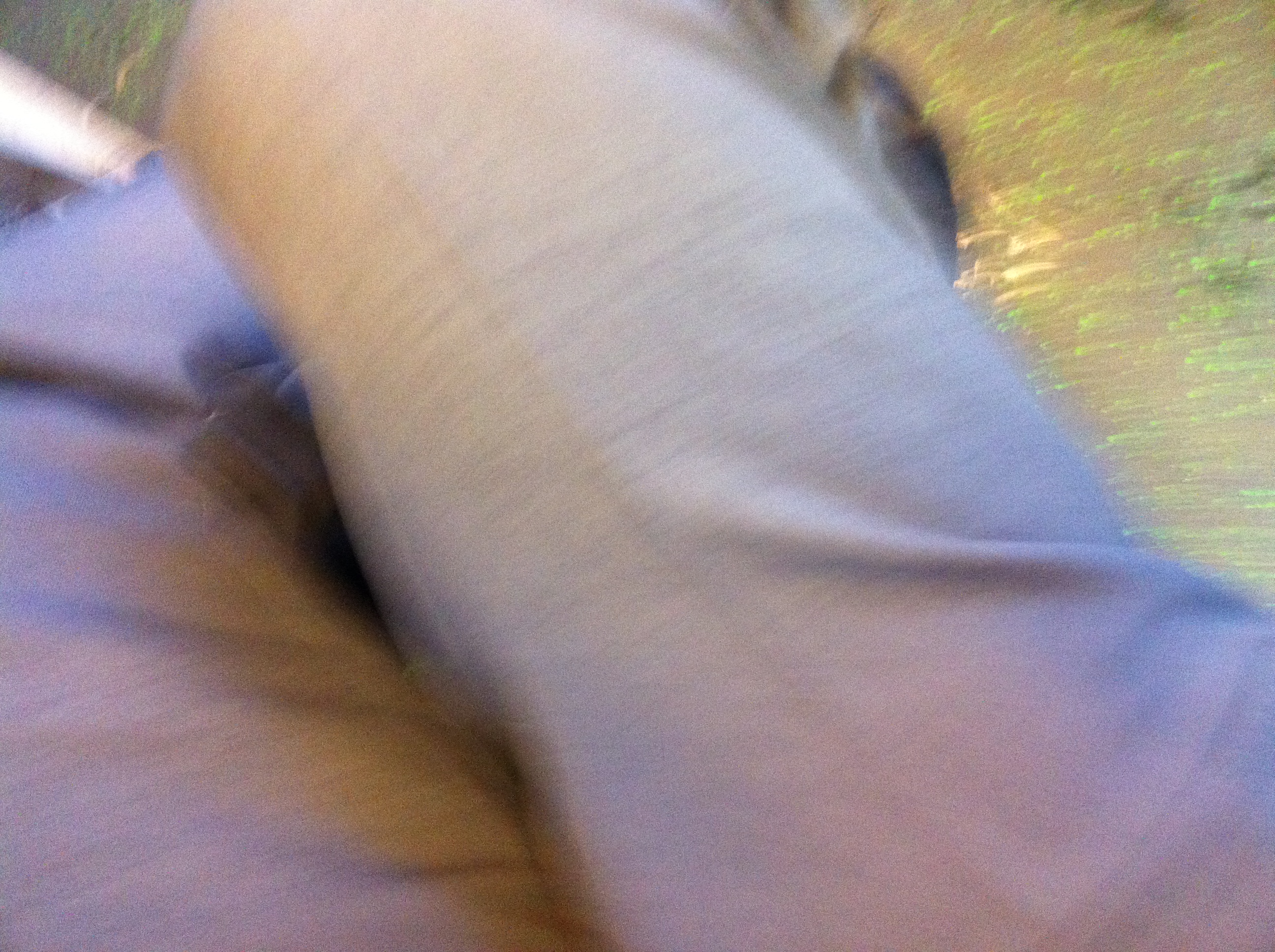 A thumbnail of a photo captured by a person who is blind.
        Click the thumbnail to view details about the photo.