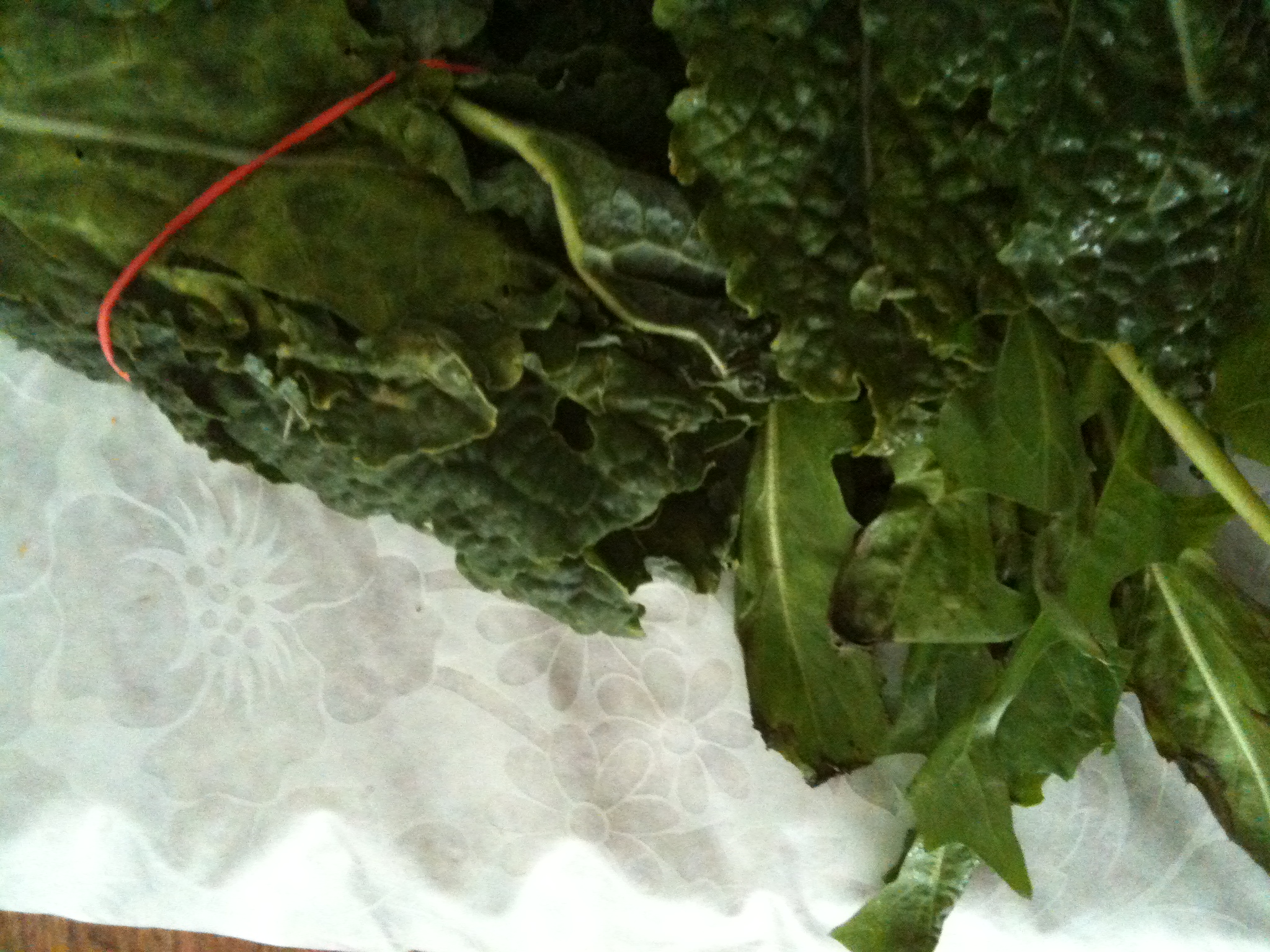 A thumbnail of a photo captured by a person who is blind.
        Click the thumbnail to view details about the photo.