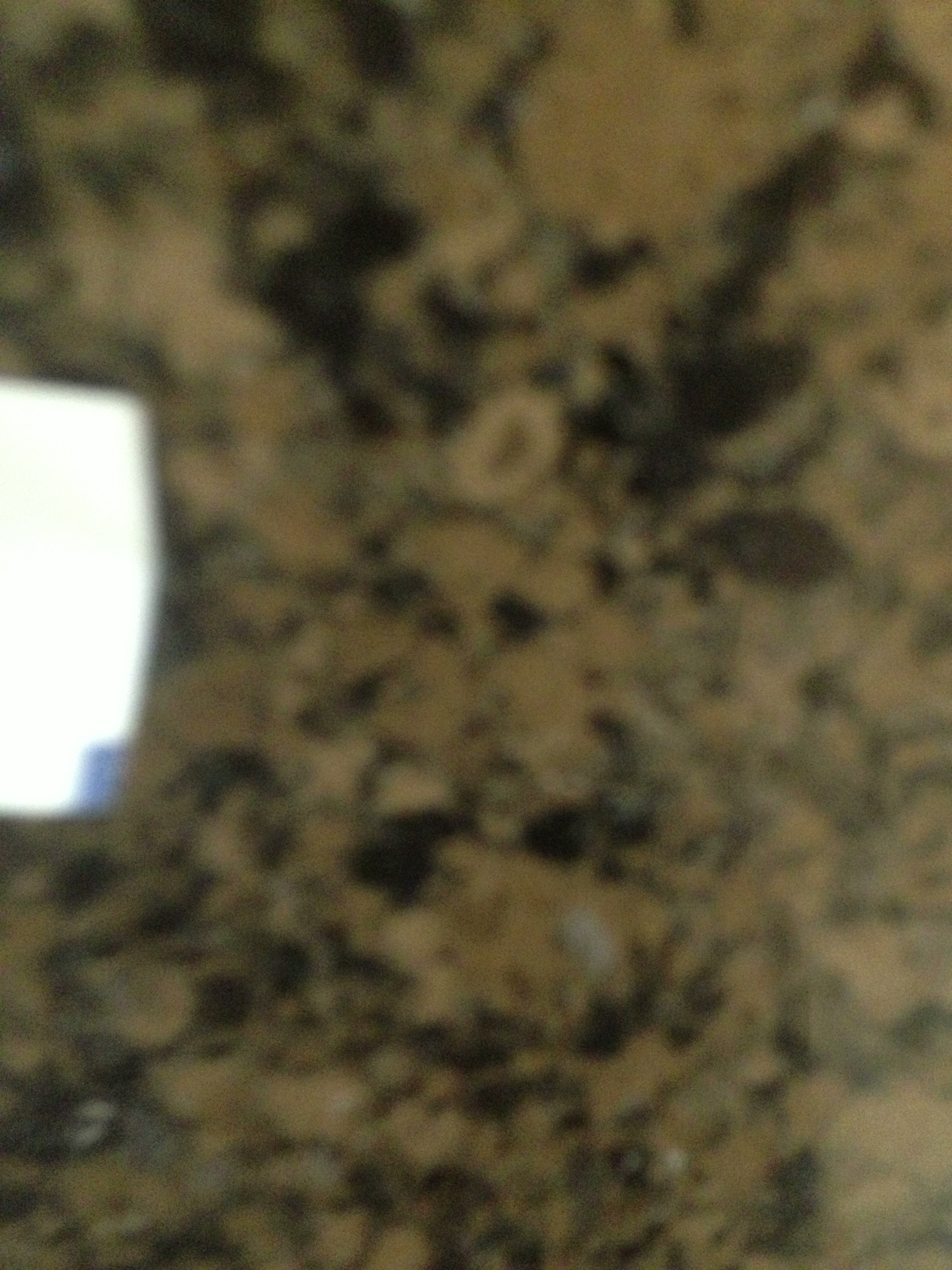A photo captured by a person who is blind. A computer-generated caption for this photo is: A close up view of a blurry tree.