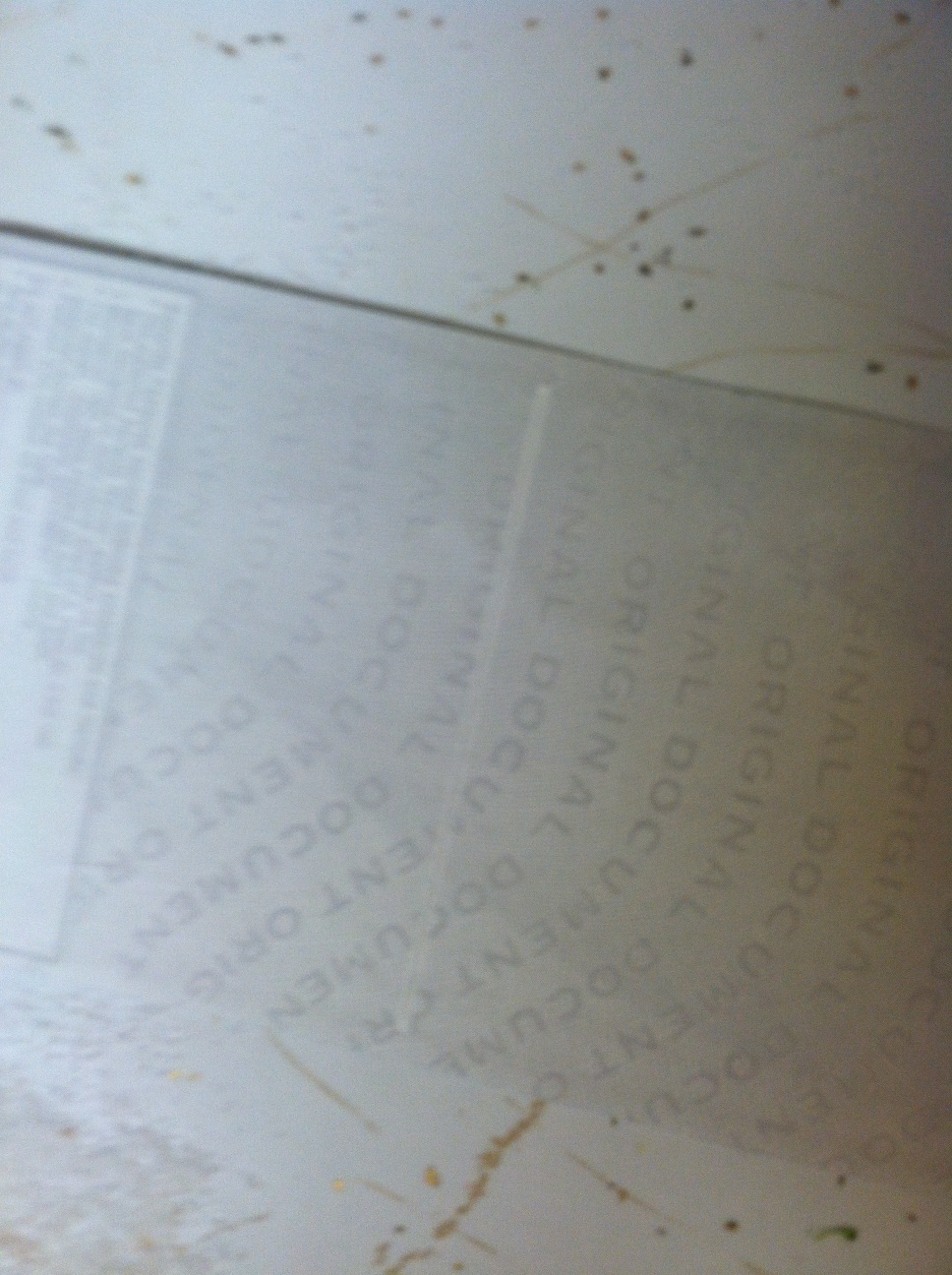 A thumbnail of a photo captured by a person who is blind.
        Click the thumbnail to view details about the photo.