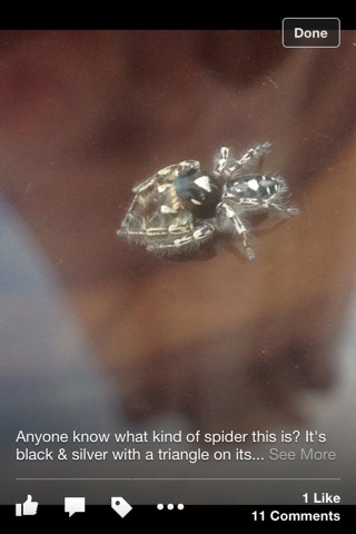 A thumbnail of a photo captured by a person who is blind.
        Click the thumbnail to view details about the photo.