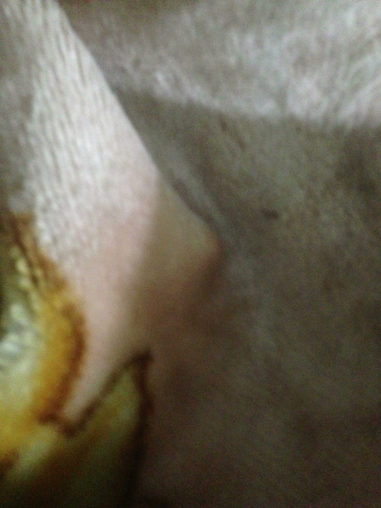 A thumbnail of a photo captured by a person who is blind.
        Click the thumbnail to view details about the photo.