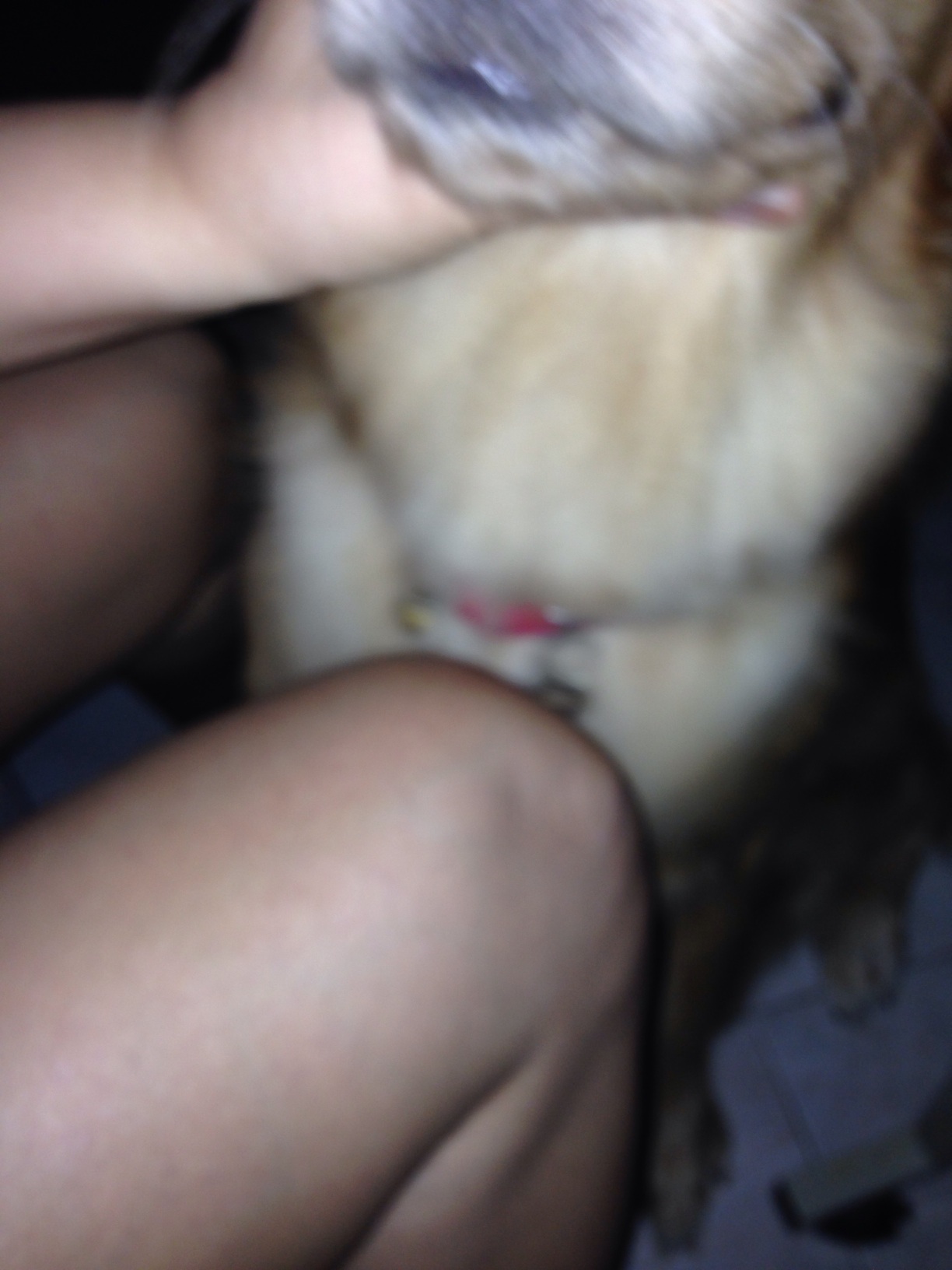 A thumbnail of a photo captured by a person who is blind.
        Click the thumbnail to view details about the photo.