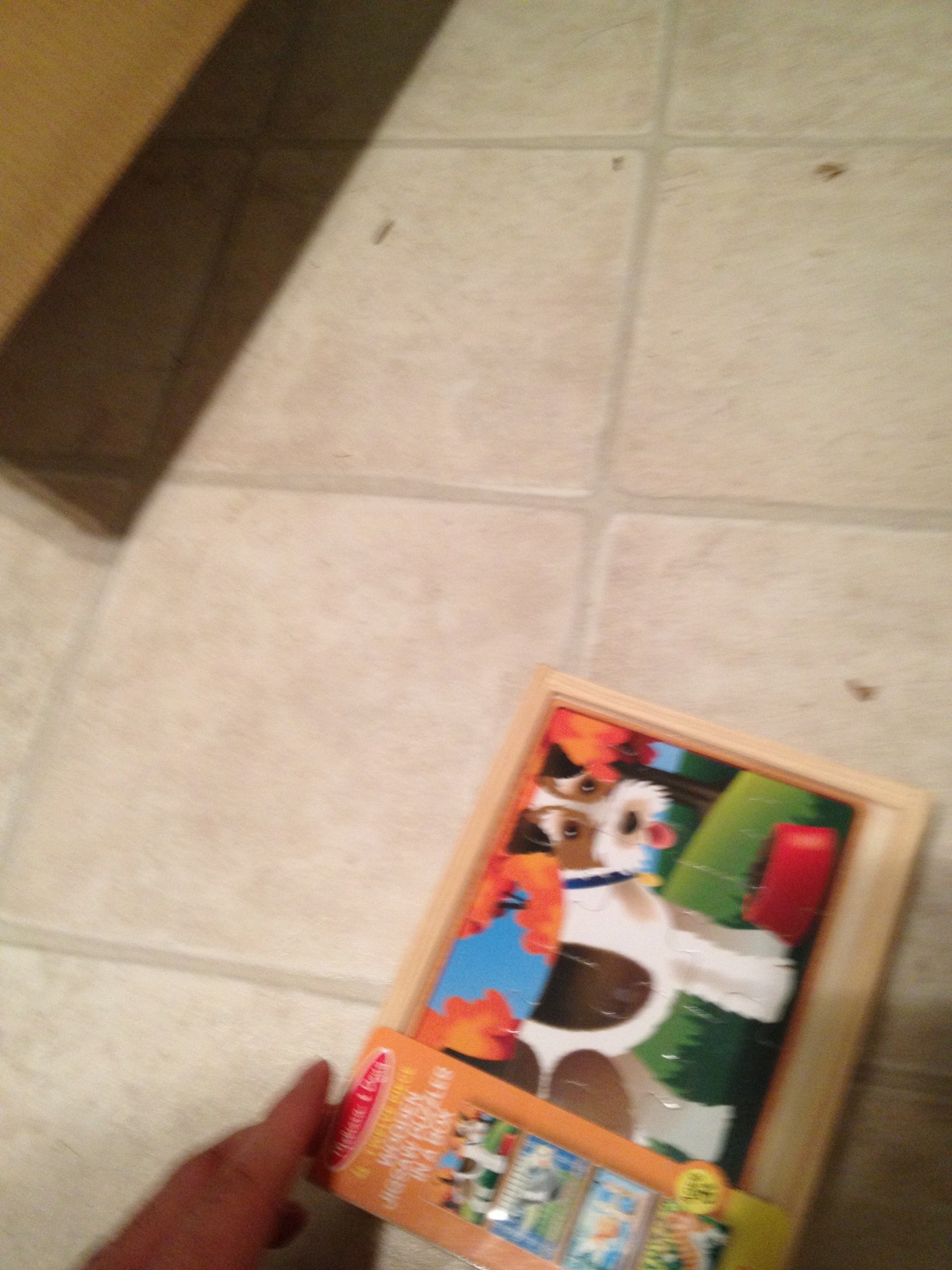 A thumbnail of a photo captured by a person who is blind.
        Click the thumbnail to view details about the photo.