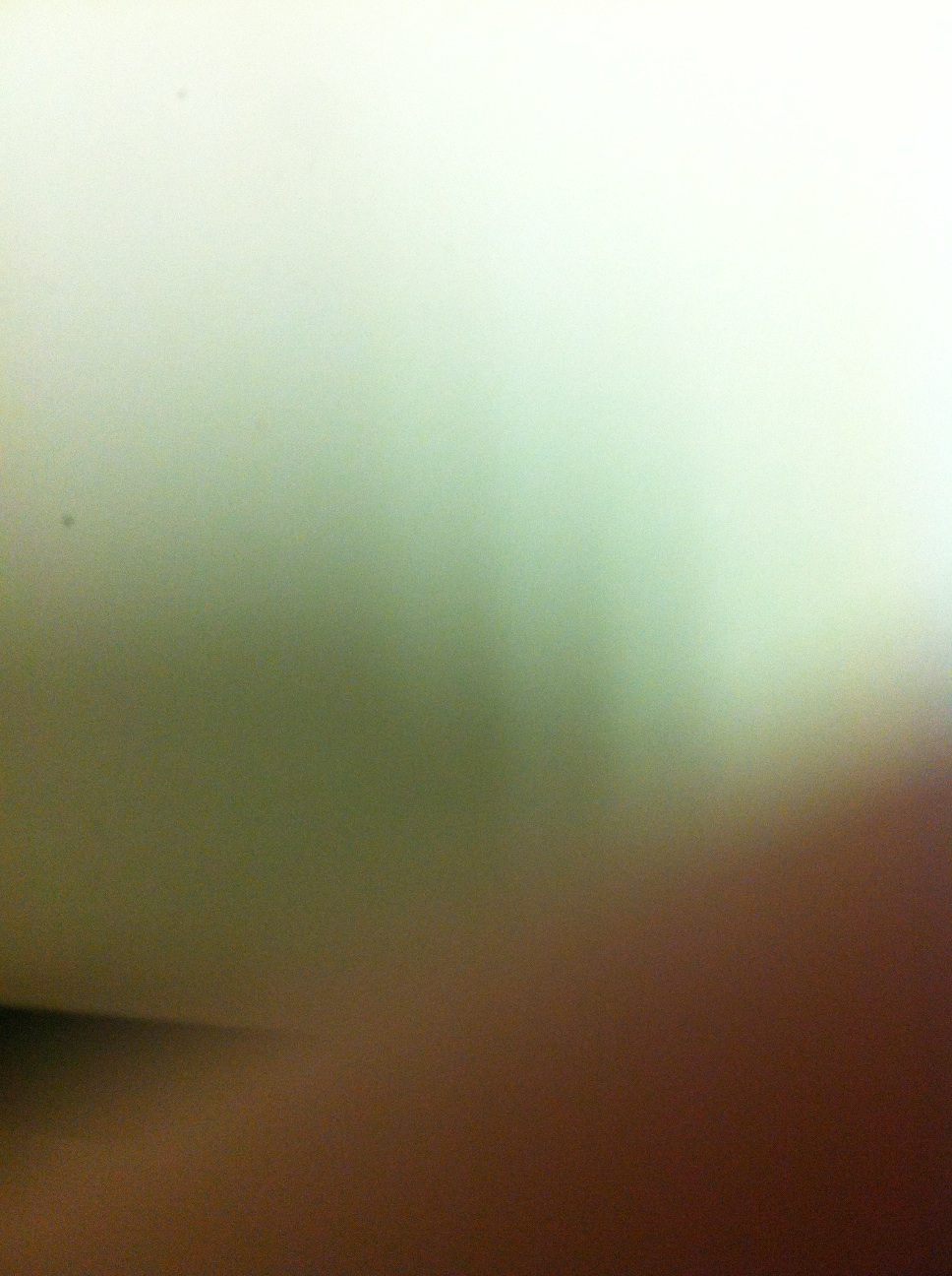 A thumbnail of a photo captured by a person who is blind.
        Click the thumbnail to view details about the photo.