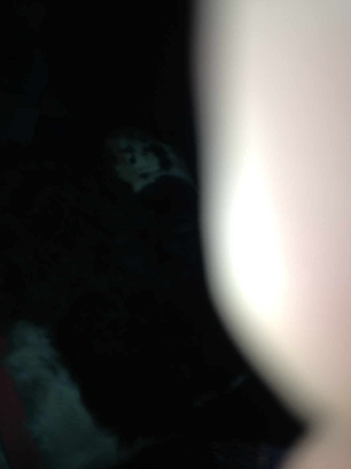 A thumbnail of a photo captured by a person who is blind.
        Click the thumbnail to view details about the photo.
