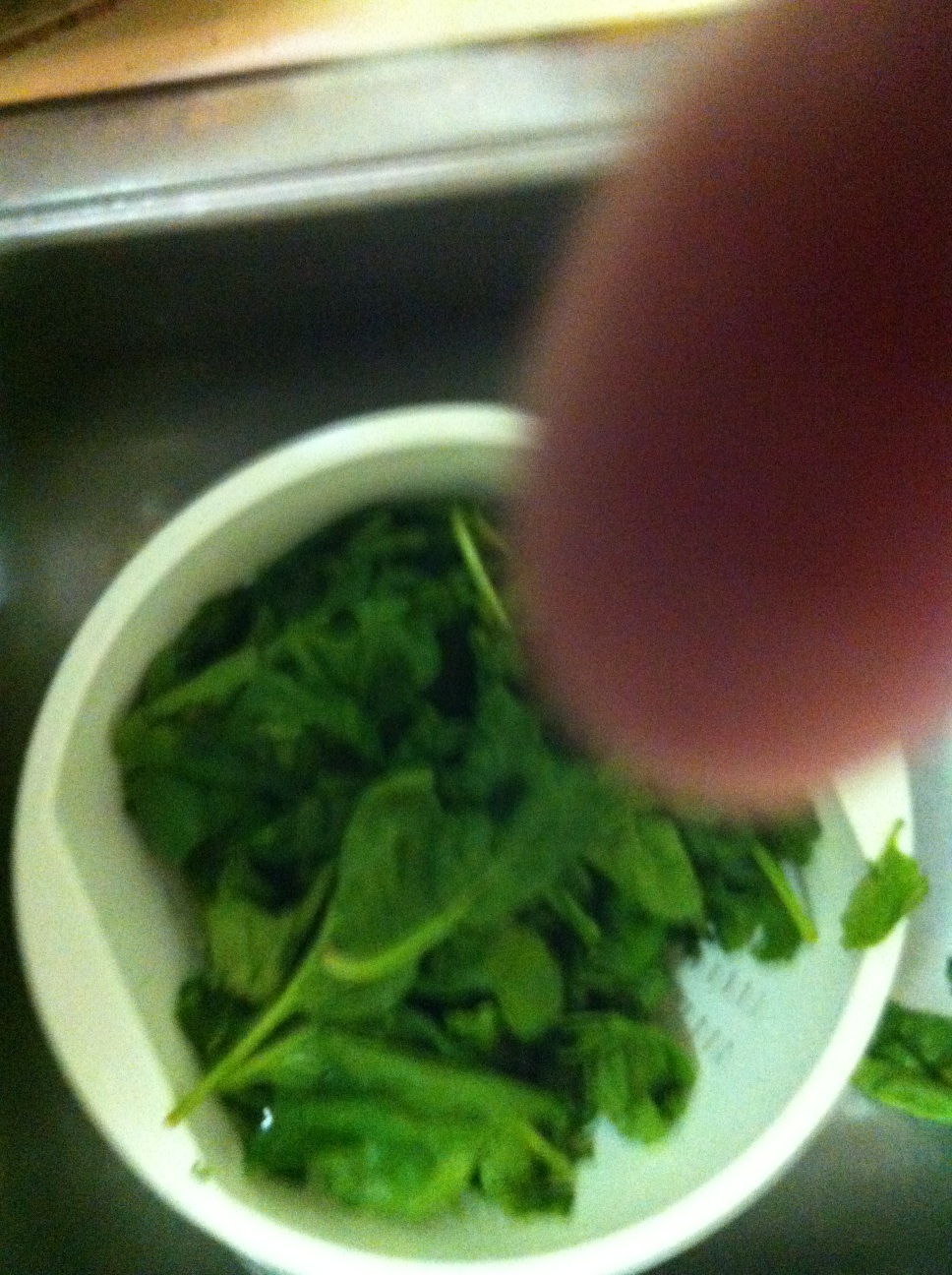 A thumbnail of a photo captured by a person who is blind.
        Click the thumbnail to view details about the photo.