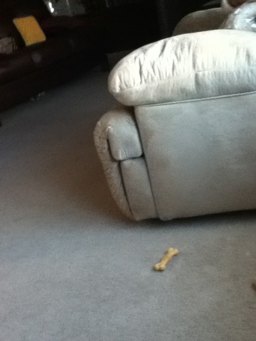A photo captured by a person who is blind. A computer-generated caption for this photo is: A couch that is laying on the floor.