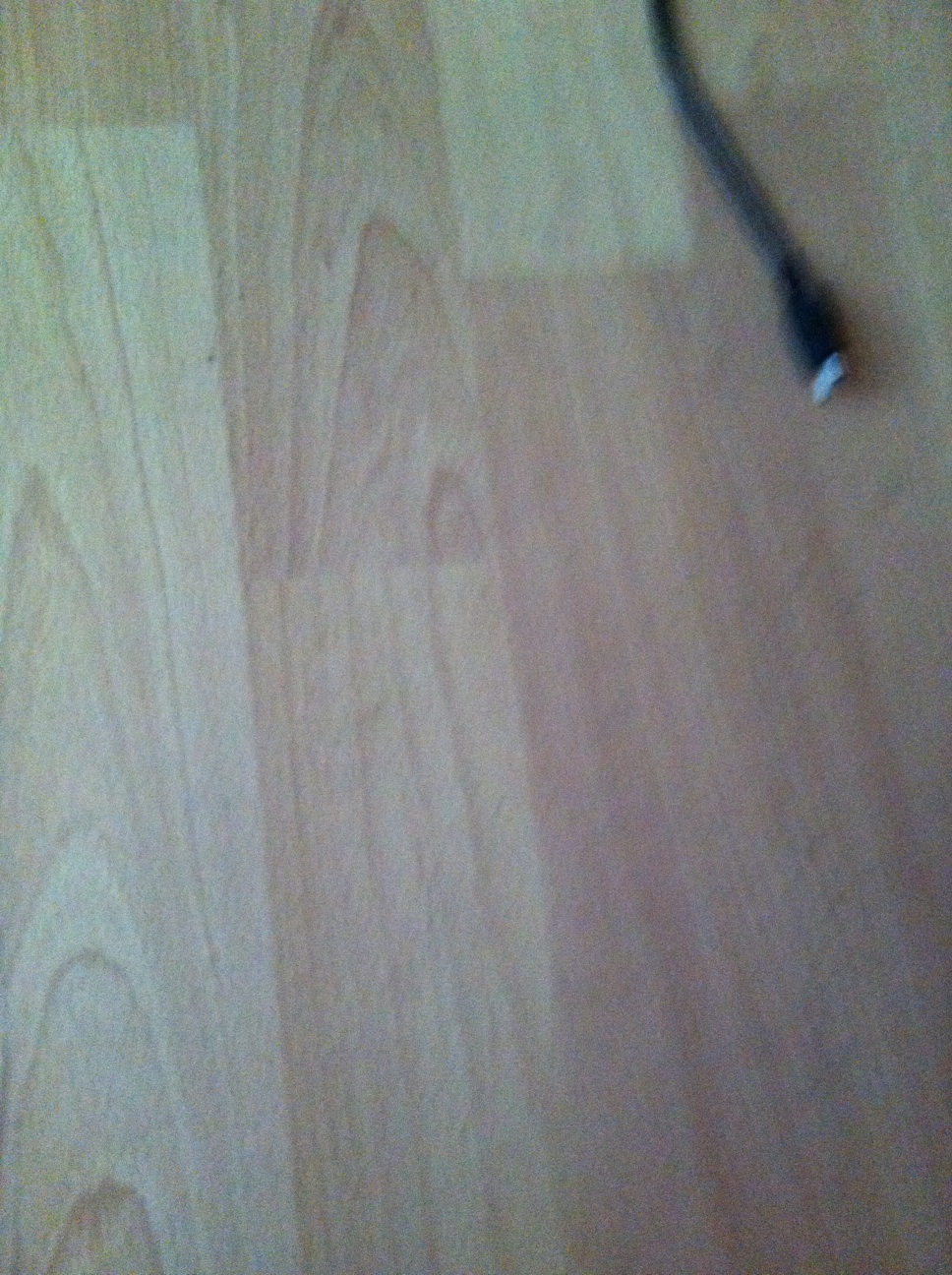 A thumbnail of a photo captured by a person who is blind.
        Click the thumbnail to view details about the photo.