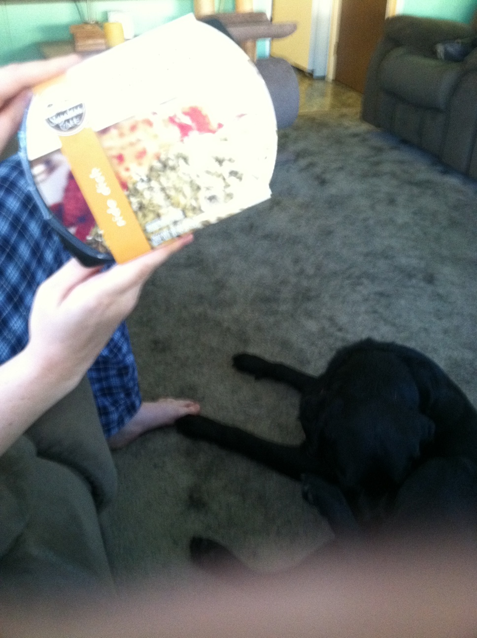 A thumbnail of a photo captured by a person who is blind.
        Click the thumbnail to view details about the photo.