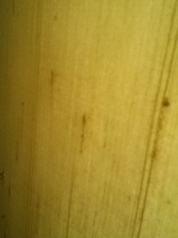 A thumbnail of a photo captured by a person who is blind.
        Click the thumbnail to view details about the photo.