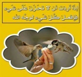 A thumbnail of a photo captured by a person who is blind.
        Click the thumbnail to view details about the photo.