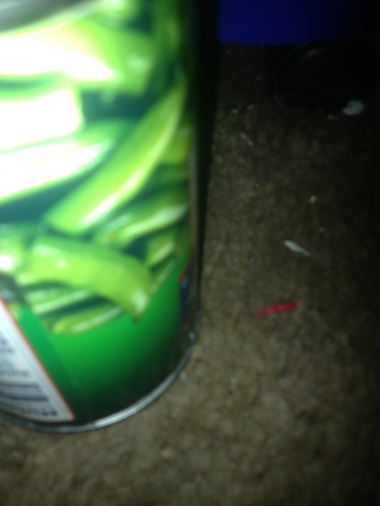 A thumbnail of a photo captured by a person who is blind.
        Click the thumbnail to view details about the photo.