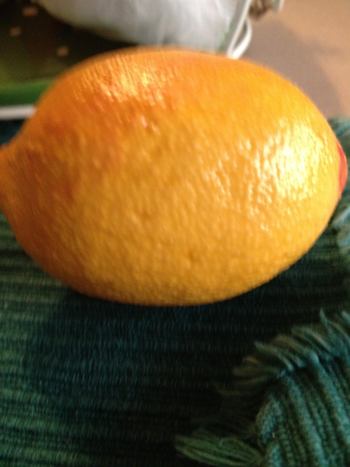 A thumbnail of a photo captured by a person who is blind.
        Click the thumbnail to view details about the photo.