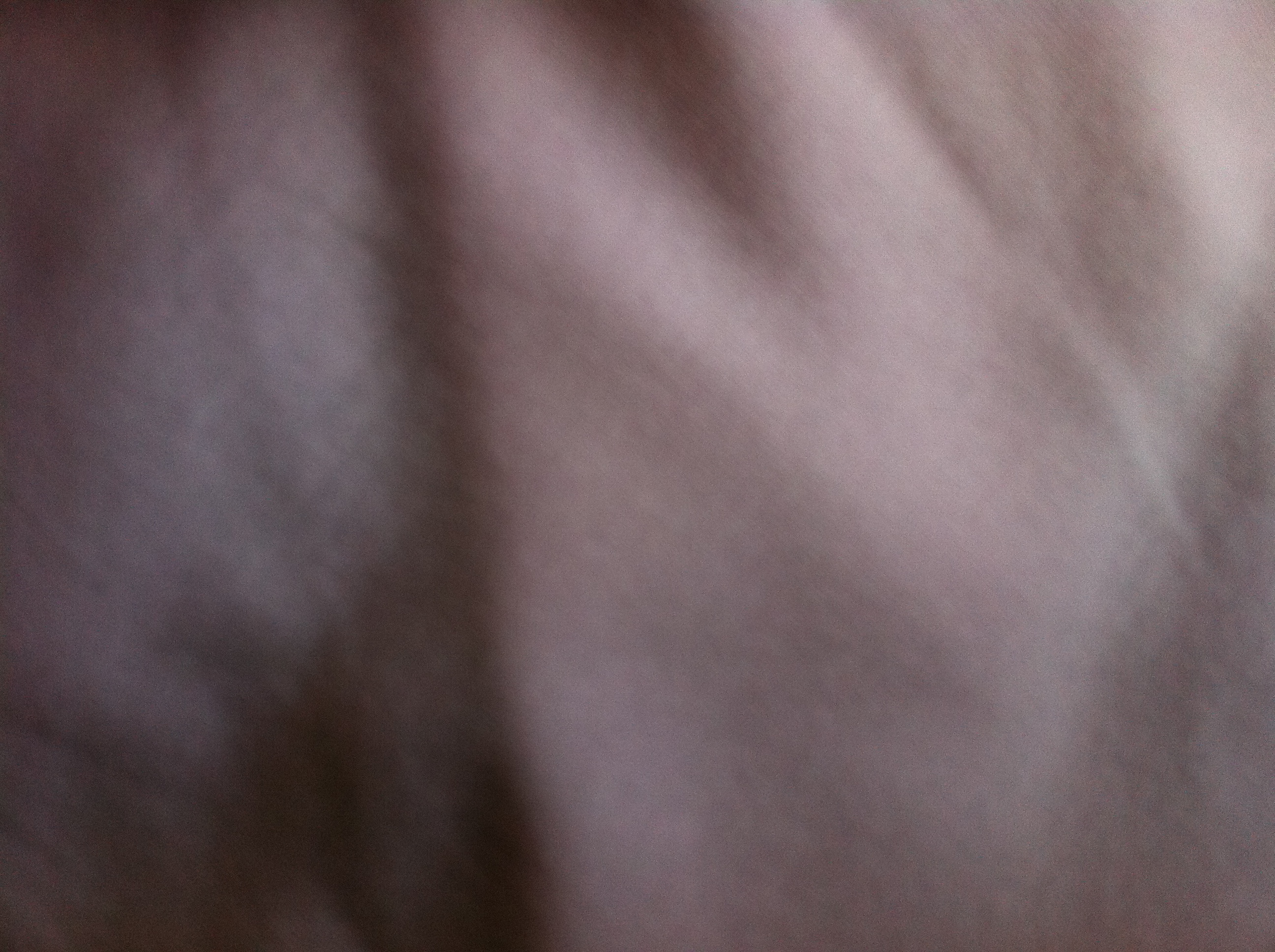 A thumbnail of a photo captured by a person who is blind.
        Click the thumbnail to view details about the photo.