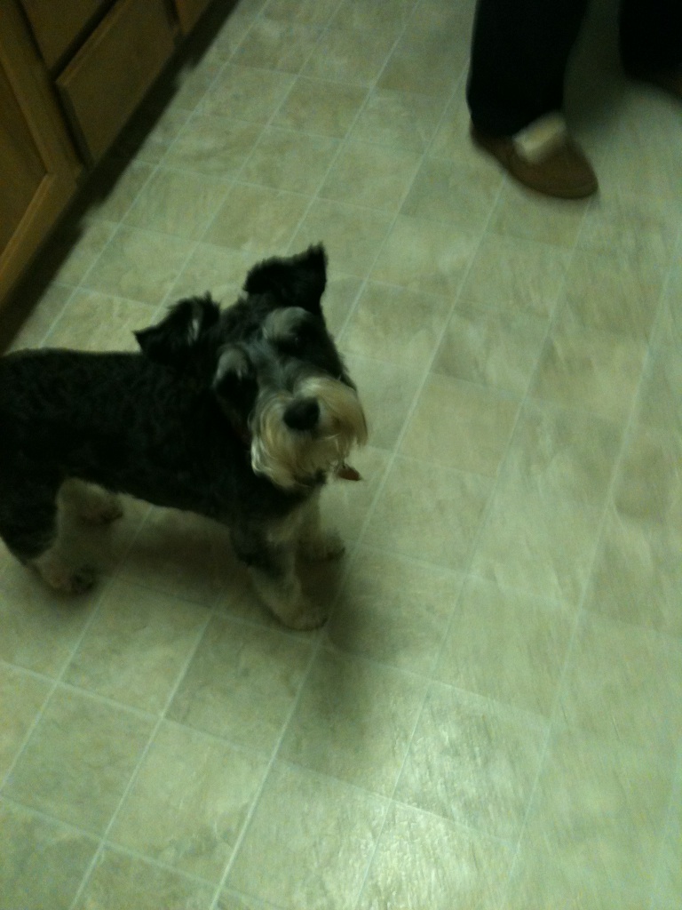 A thumbnail of a photo captured by a person who is blind.
        Click the thumbnail to view details about the photo.