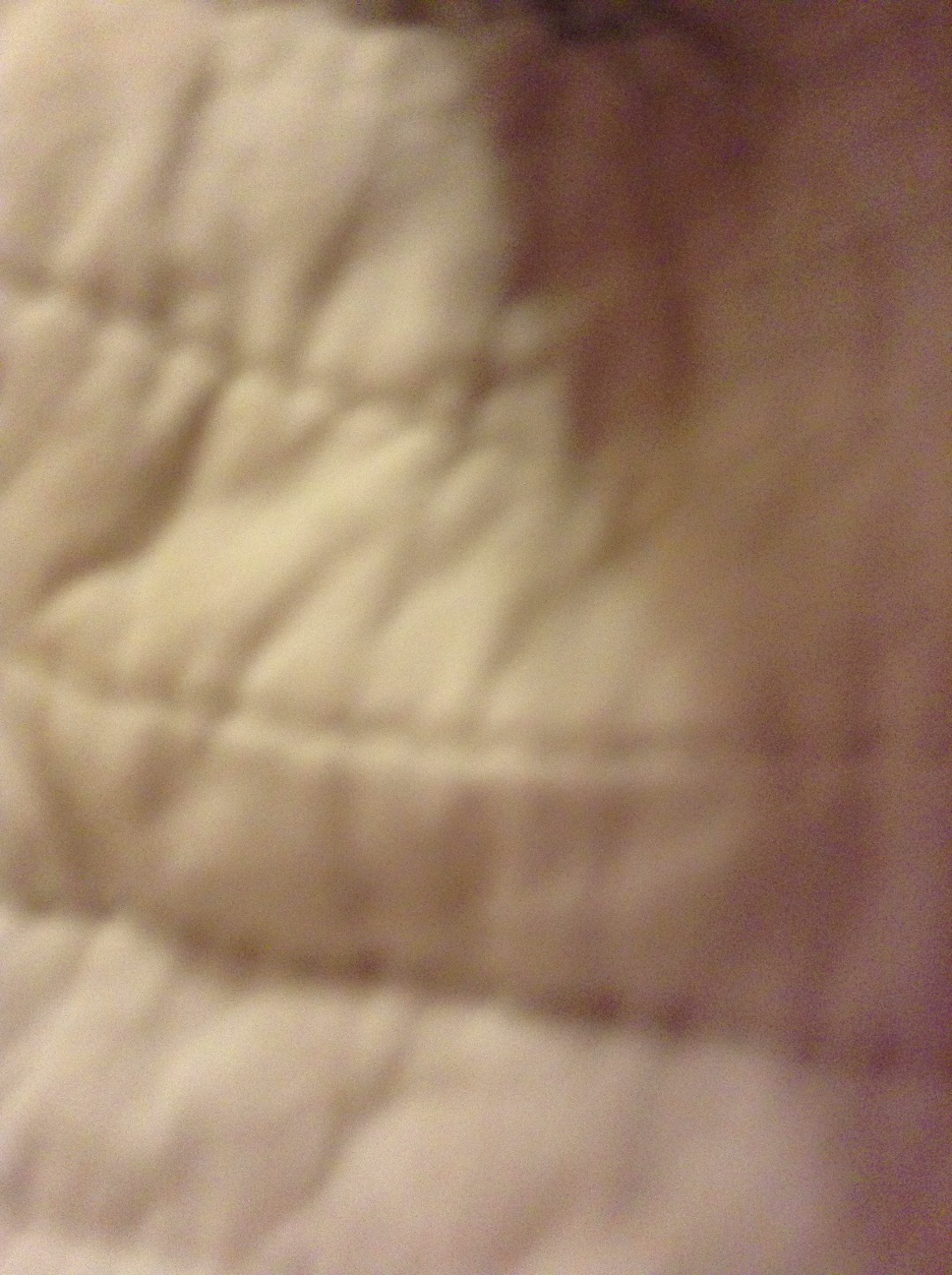 A thumbnail of a photo captured by a person who is blind.
        Click the thumbnail to view details about the photo.