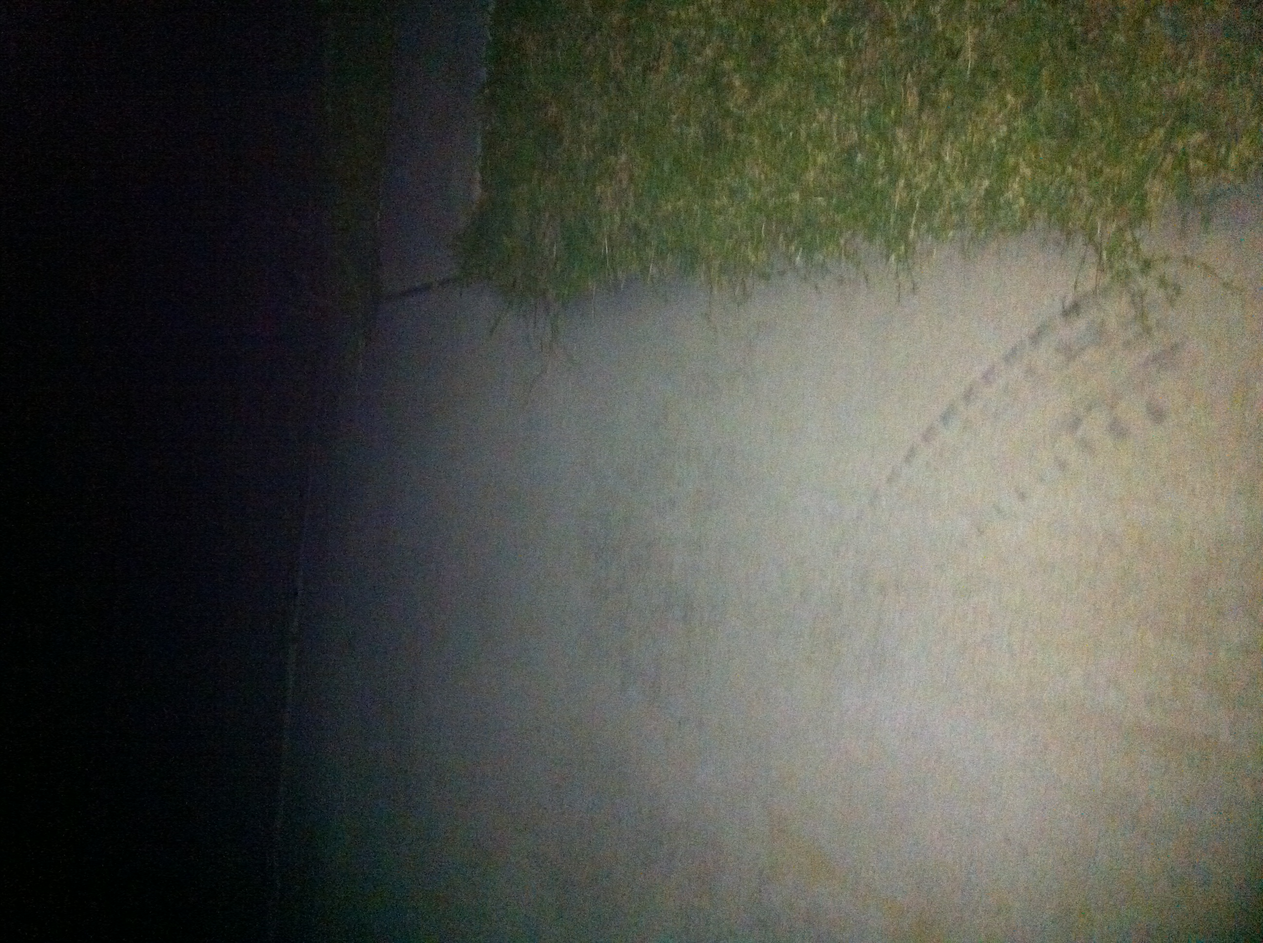 A thumbnail of a photo captured by a person who is blind.
        Click the thumbnail to view details about the photo.