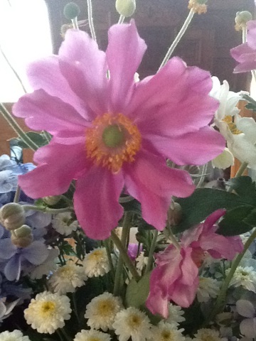 A thumbnail of a photo captured by a person who is blind.
        Click the thumbnail to view details about the photo.