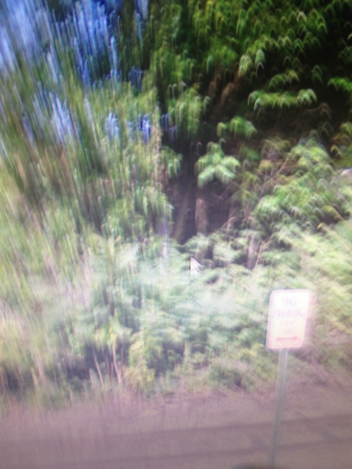 A thumbnail of a photo captured by a person who is blind.
        Click the thumbnail to view details about the photo.