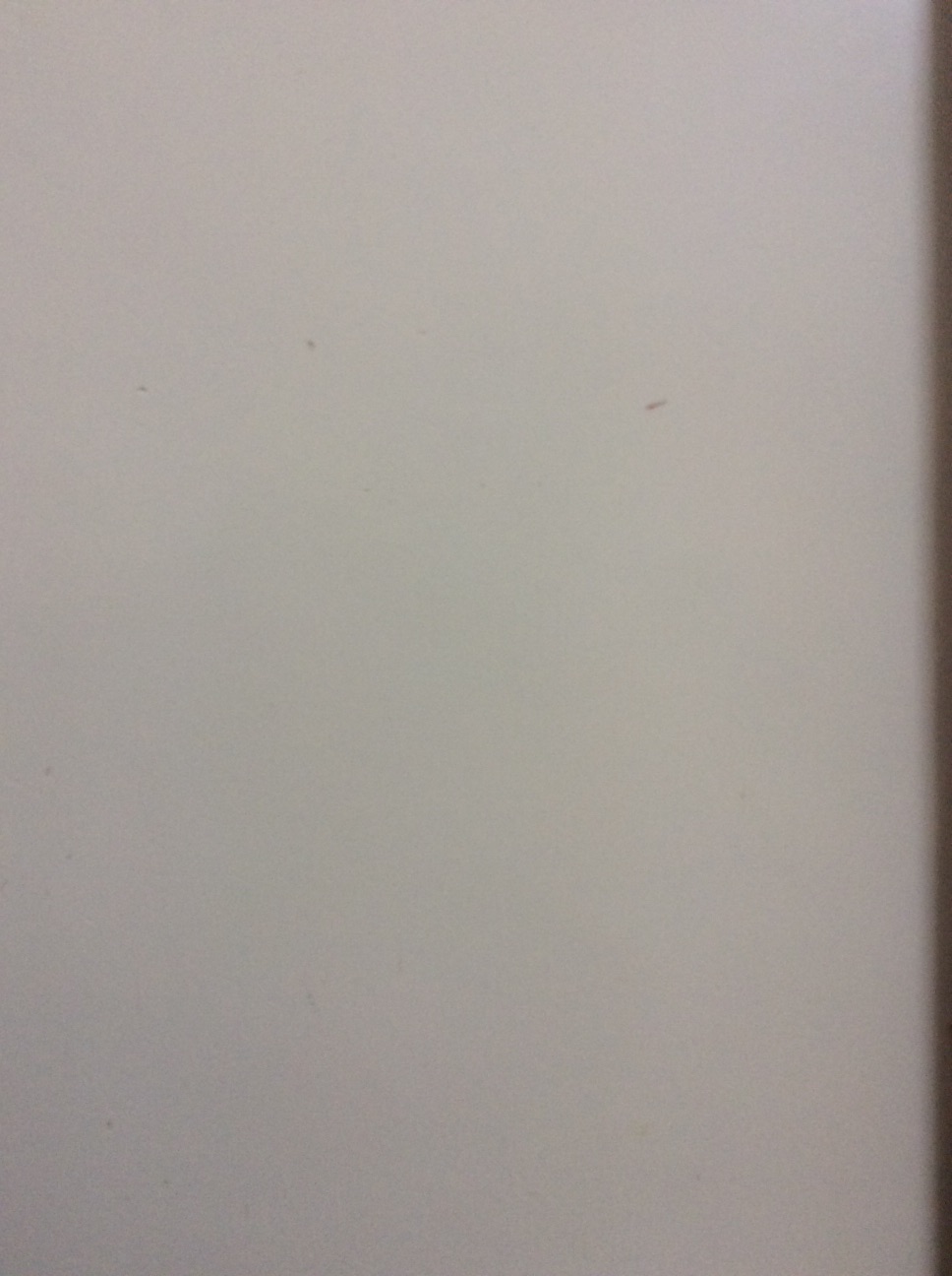 A thumbnail of a photo captured by a person who is blind.
        Click the thumbnail to view details about the photo.