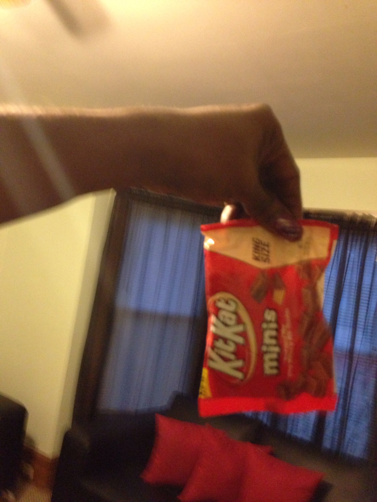 A thumbnail of a photo captured by a person who is blind.
        Click the thumbnail to view details about the photo.
