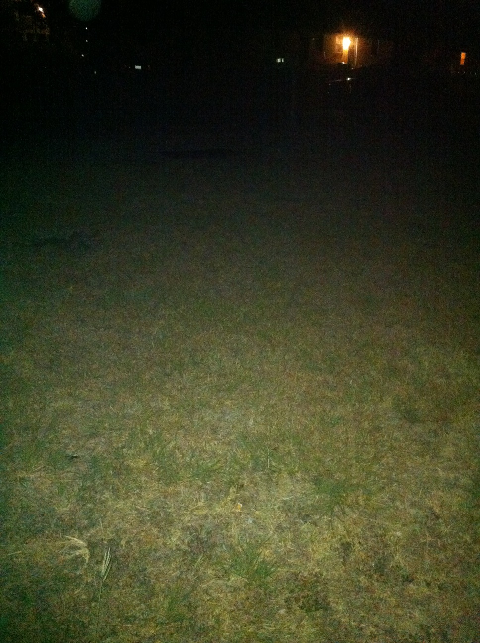 A thumbnail of a photo captured by a person who is blind.
        Click the thumbnail to view details about the photo.