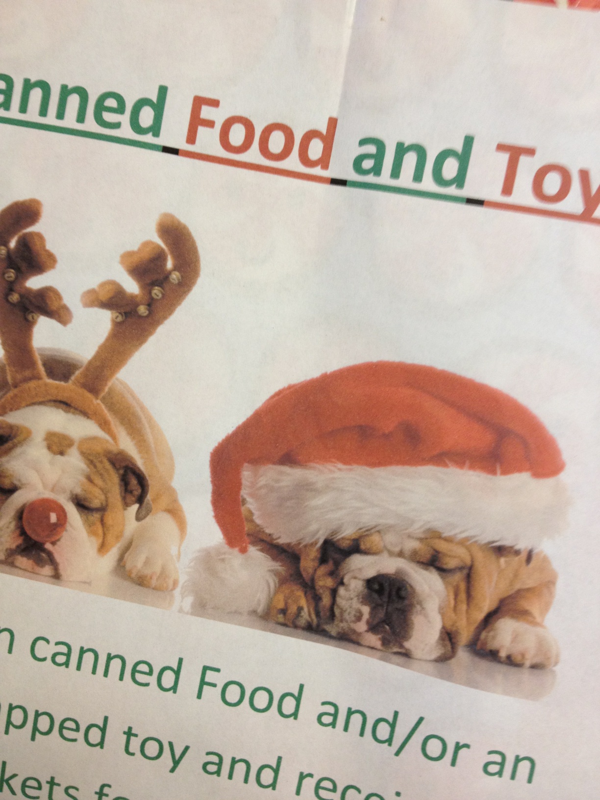 A thumbnail of a photo captured by a person who is blind.
        Click the thumbnail to view details about the photo.