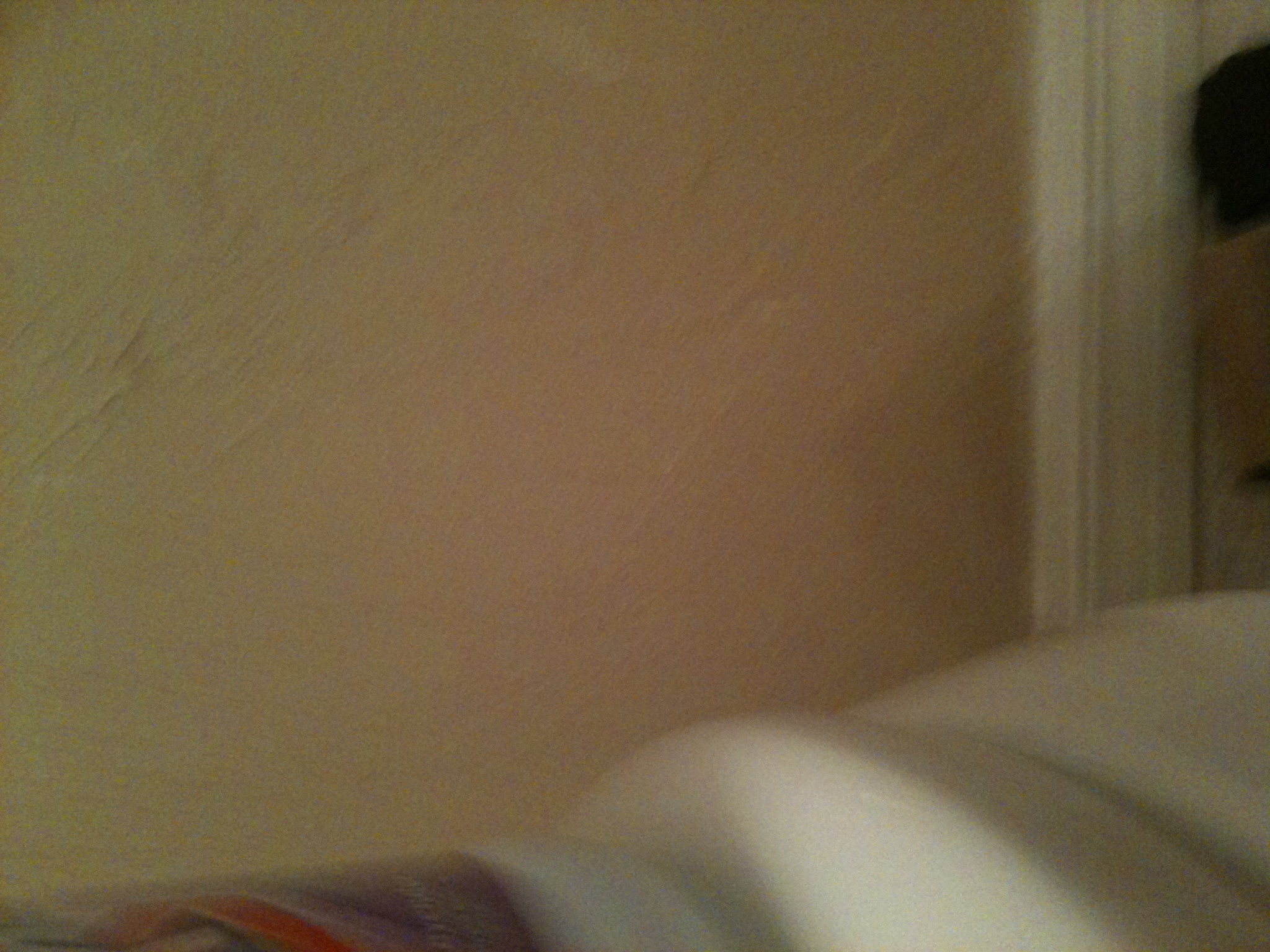 A photo captured by a person who is blind. A caption for this photo is currently not available.