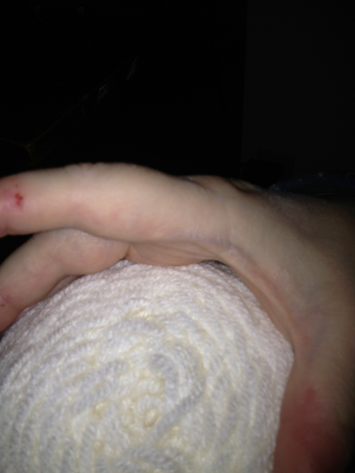 A thumbnail of a photo captured by a person who is blind.
        Click the thumbnail to view details about the photo.