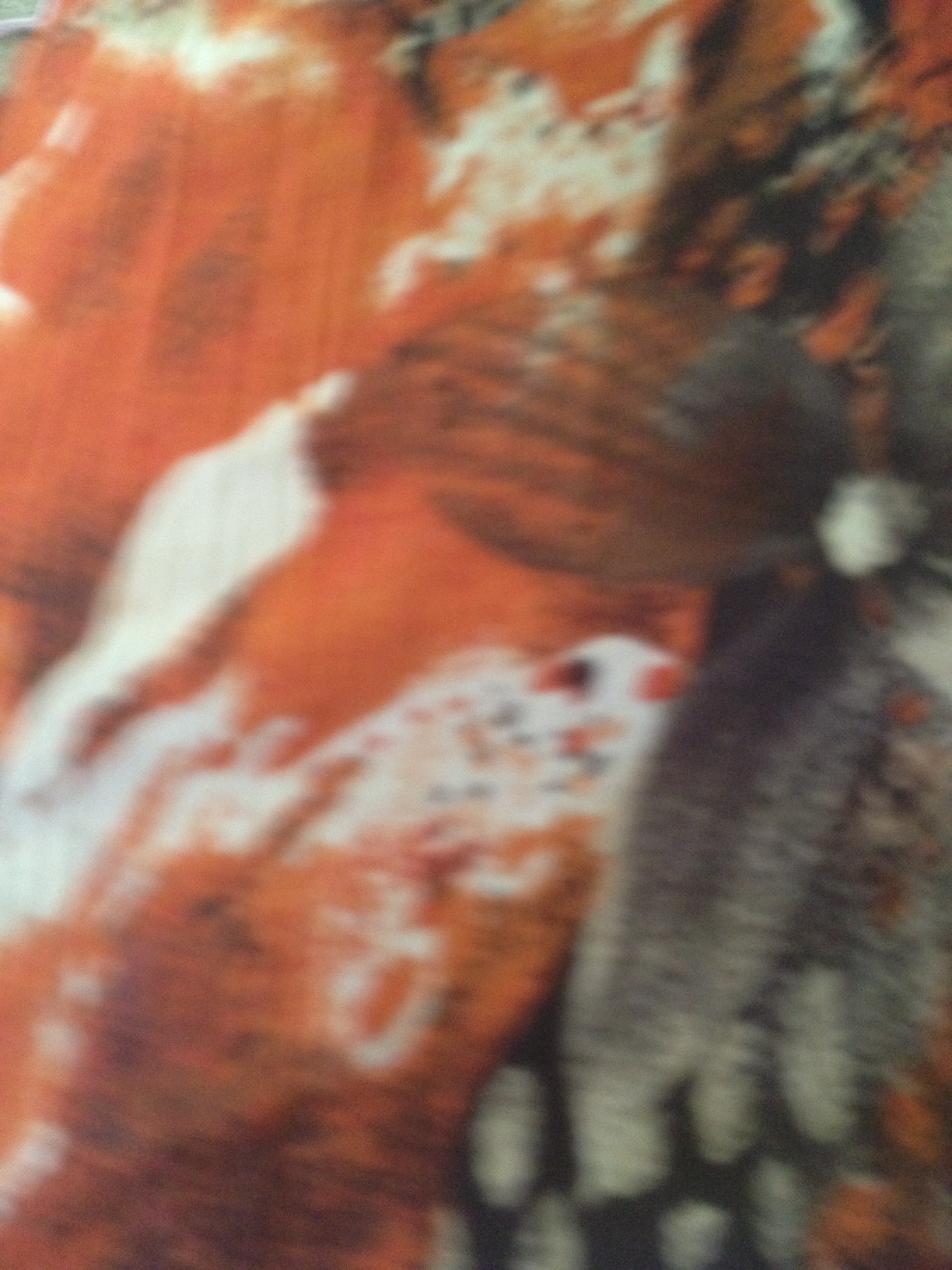 A thumbnail of a photo captured by a person who is blind.
        Click the thumbnail to view details about the photo.