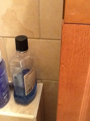 A thumbnail of a photo captured by a person who is blind.
        Click the thumbnail to view details about the photo.