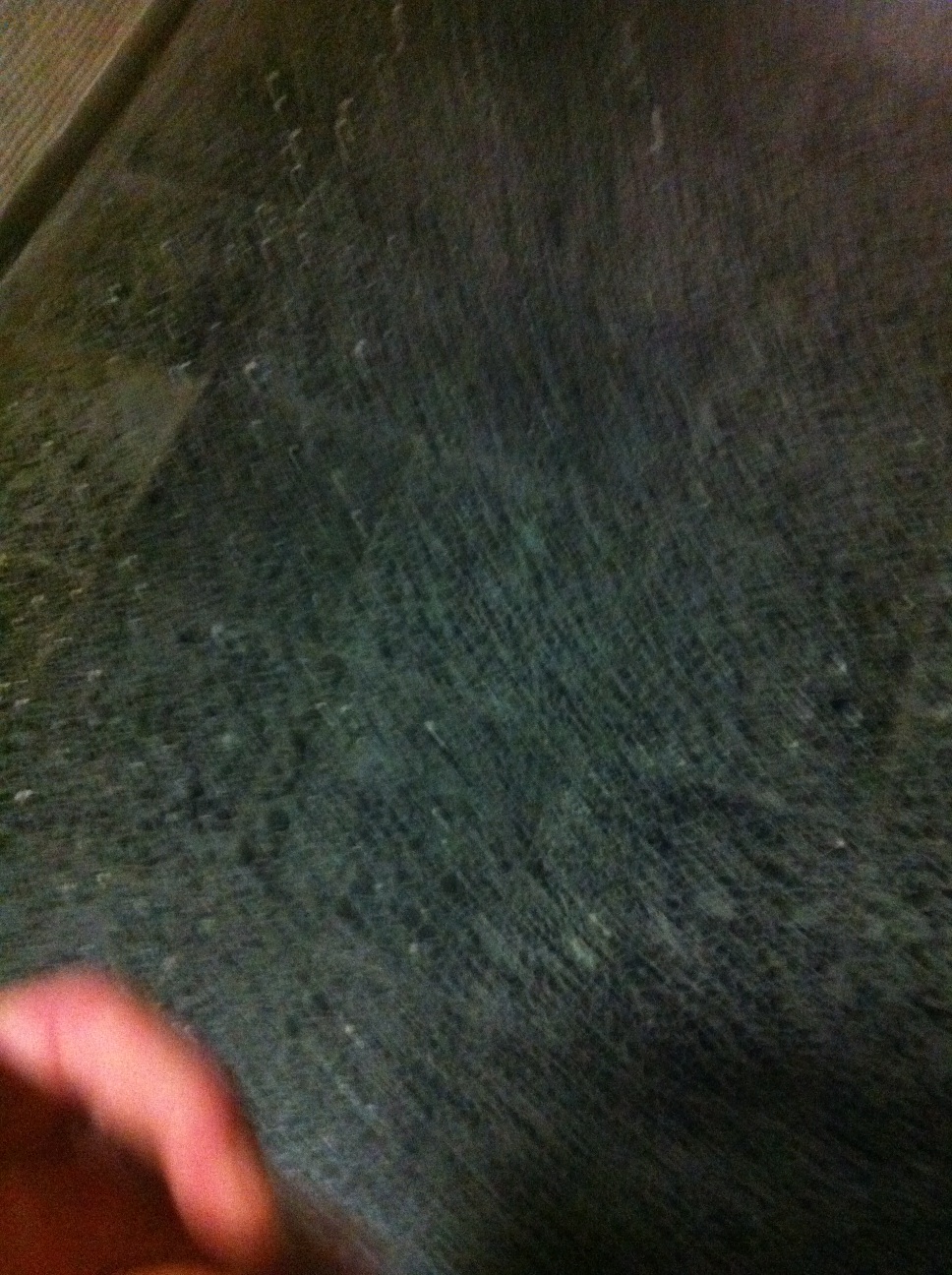 A thumbnail of a photo captured by a person who is blind.
        Click the thumbnail to view details about the photo.