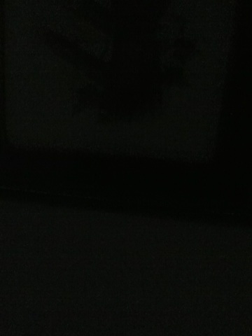 A thumbnail of a photo captured by a person who is blind.
        Click the thumbnail to view details about the photo.