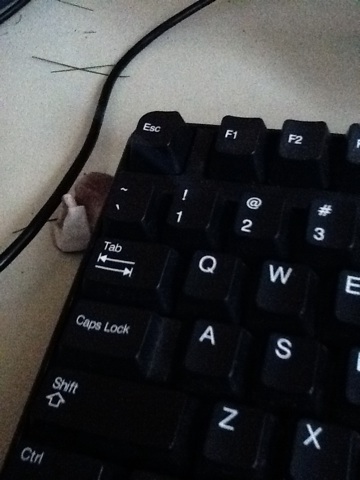 A photo captured by a person who is blind. A caption for this photo is currently not available.