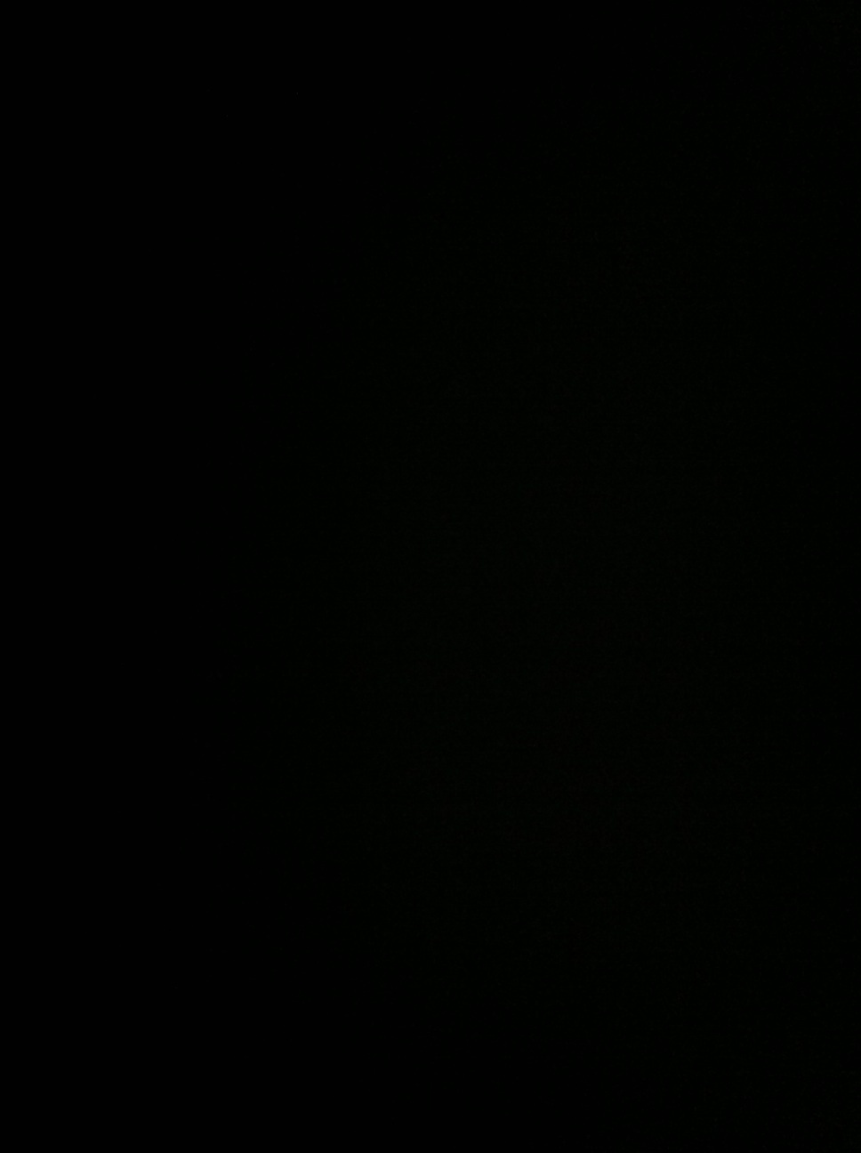 A thumbnail of a photo captured by a person who is blind.
        Click the thumbnail to view details about the photo.