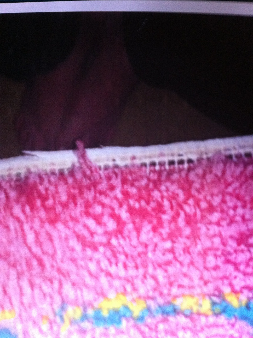 A thumbnail of a photo captured by a person who is blind.
        Click the thumbnail to view details about the photo.