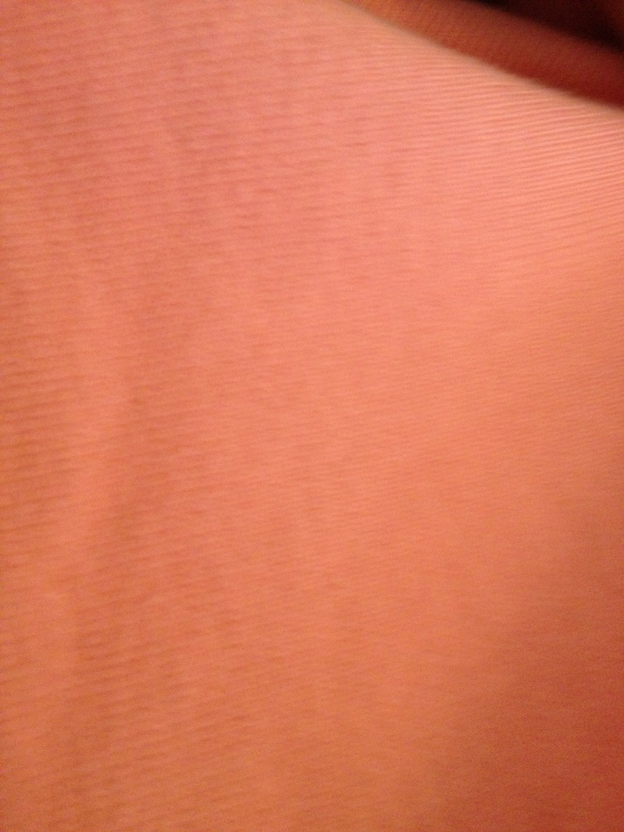 A thumbnail of a photo captured by a person who is blind.
        Click the thumbnail to view details about the photo.