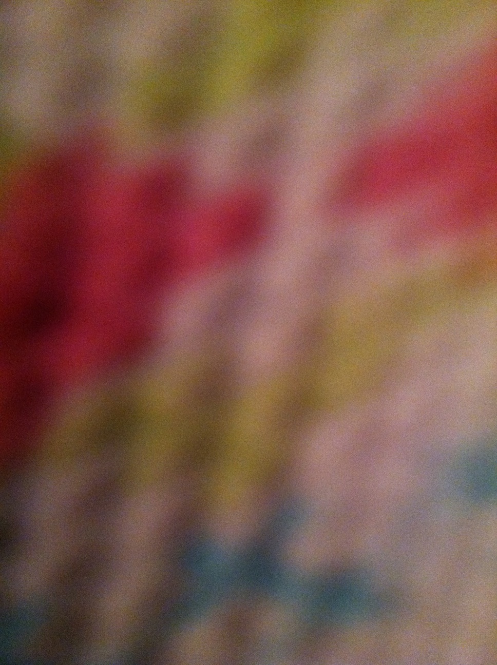 A thumbnail of a photo captured by a person who is blind.
        Click the thumbnail to view details about the photo.