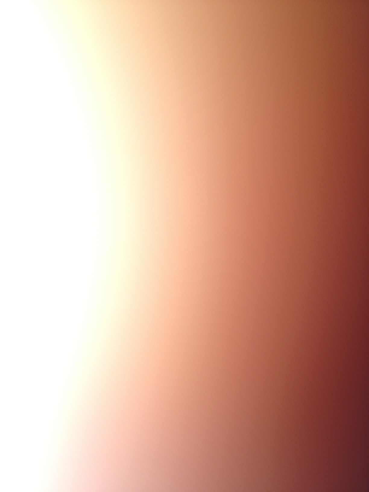 A photo captured by a person who is blind. A caption for this photo is currently not available.