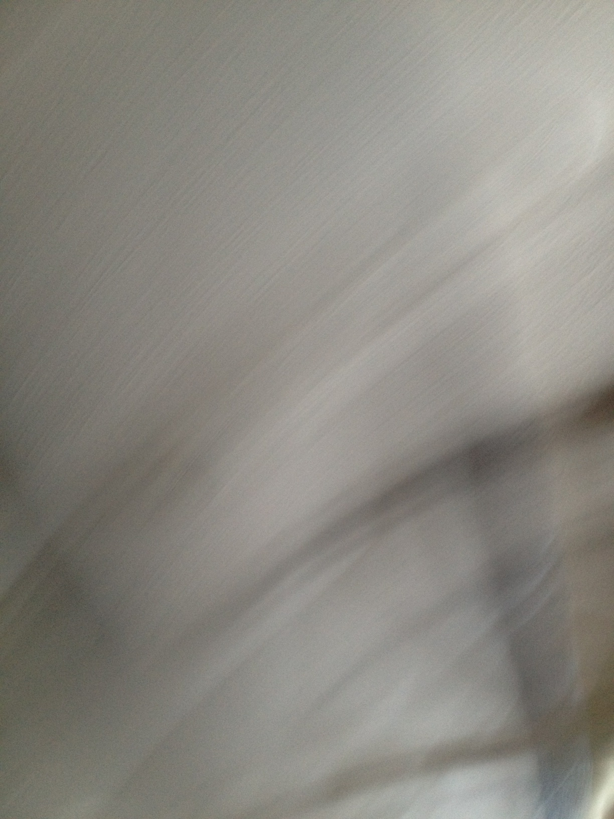 A thumbnail of a photo captured by a person who is blind.
        Click the thumbnail to view details about the photo.