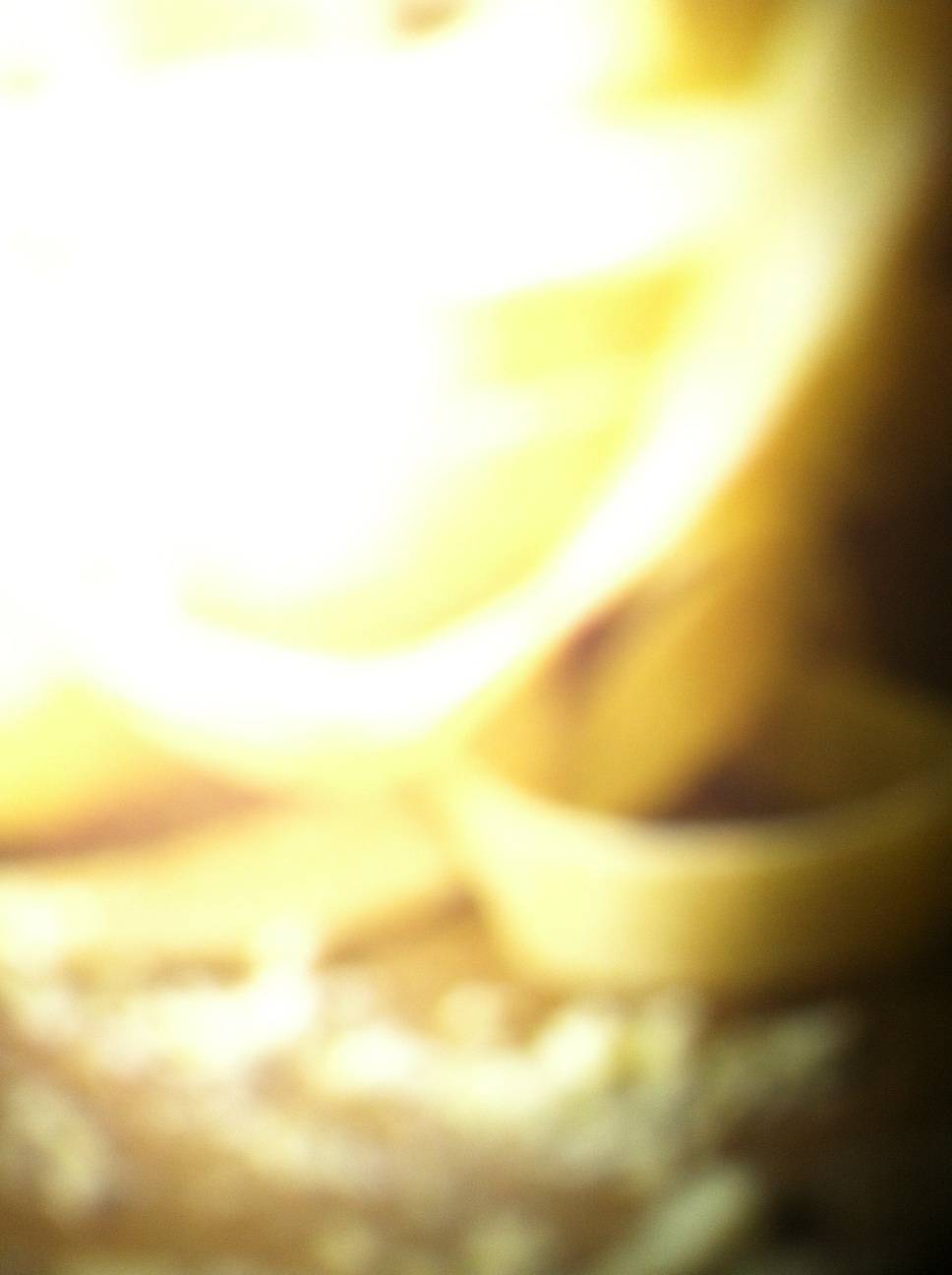 A photo captured by a person who is blind. A caption for this photo is currently not available.